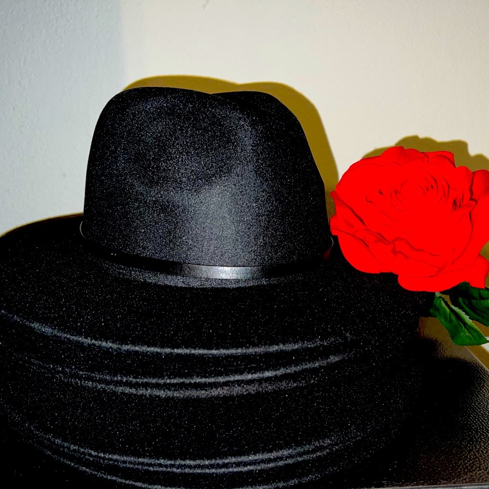 Black Fedora Hat